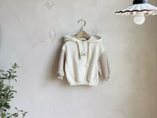 Hoody color half zip up